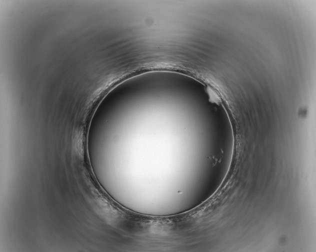 X0000099520345200805221448