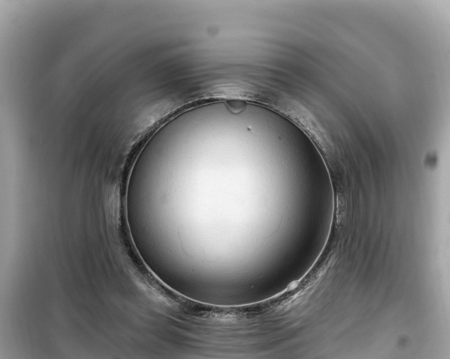 X0000099520349200805221448