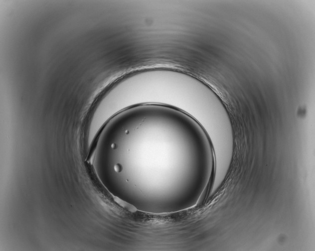 X0000099520350200805221448