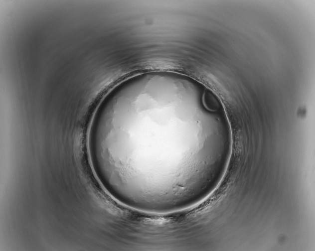 X0000099520351200805221448