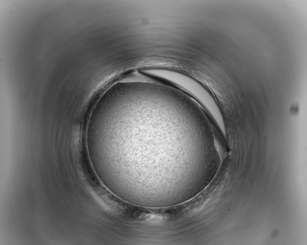 X0000099520352200805221448