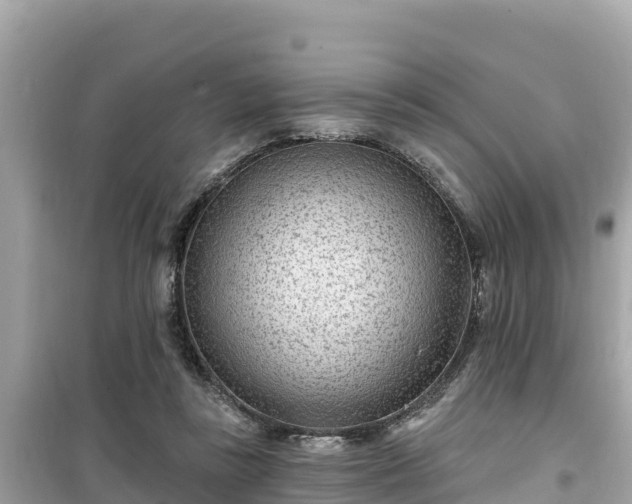 X0000099520355200805221448