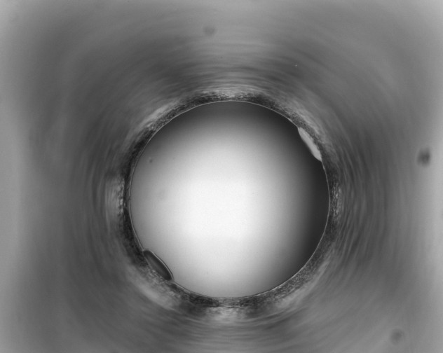 X0000099520356200805221448