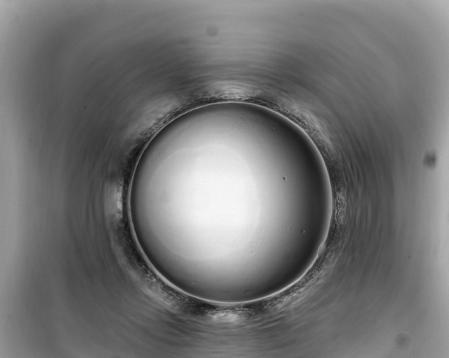 X0000099520358200805221448