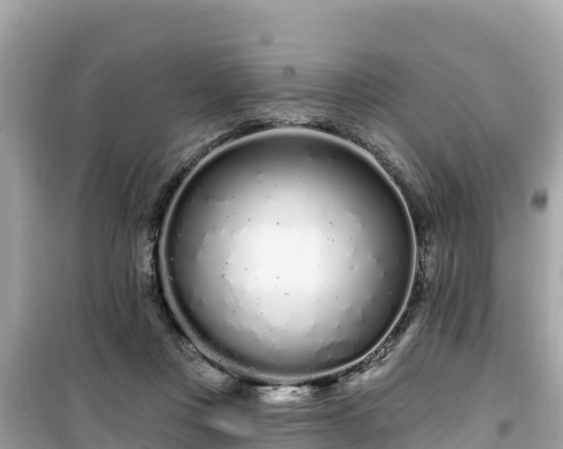 X0000099520359200805221448