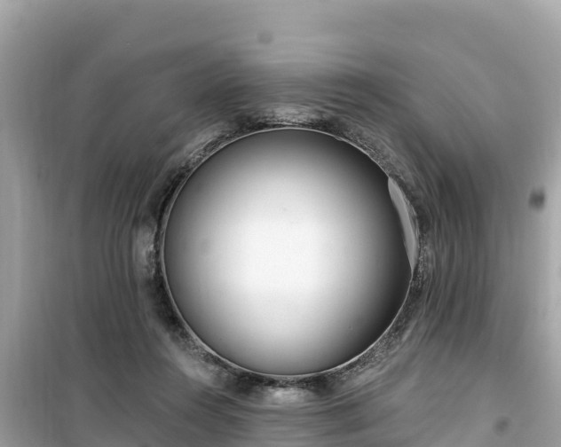 X0000099520360200805221448