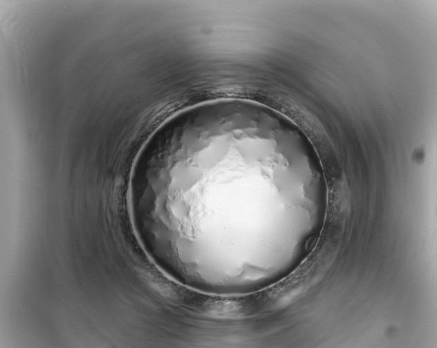 X0000099520361200805221448