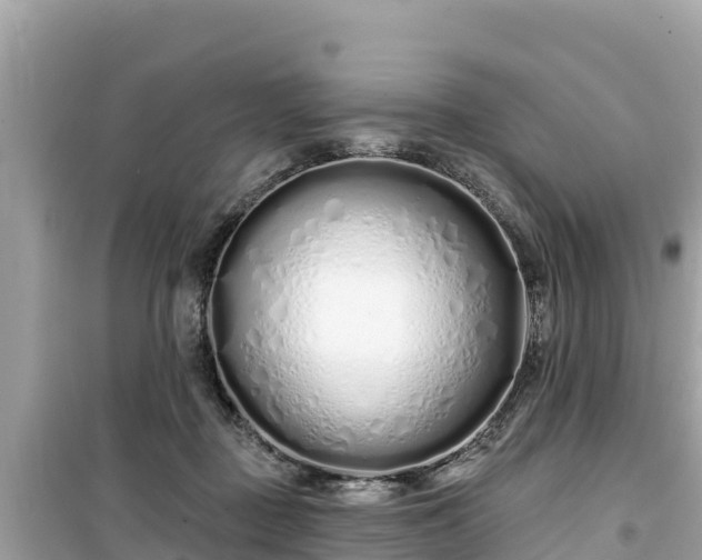 X0000099520363200805221448
