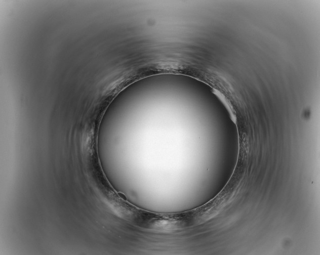X0000099520364200805221448