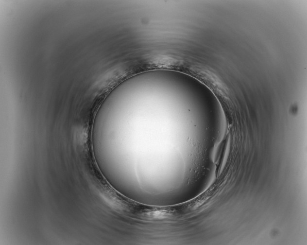 X0000099520365200805221448
