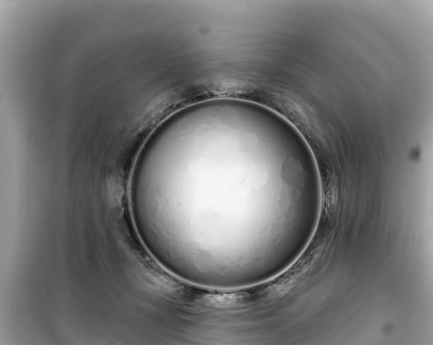 X0000099520367200805221448