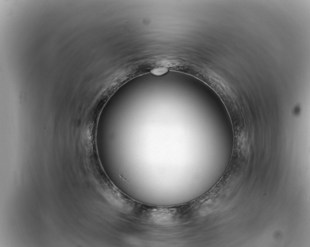 X0000099520373200805221448