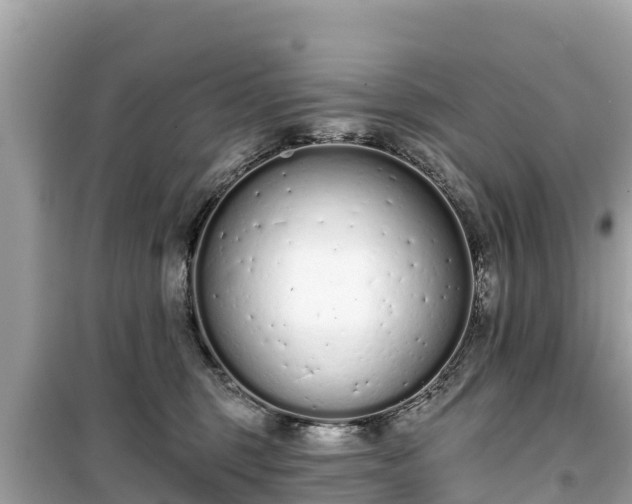 X0000099520375200805221448