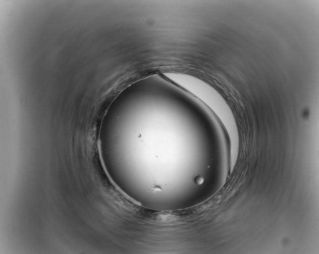 X0000099520376200805221448