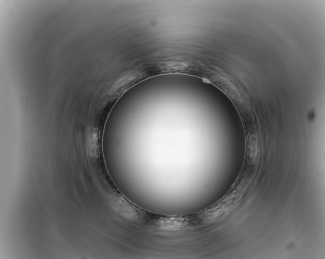 X0000099520378200805221448