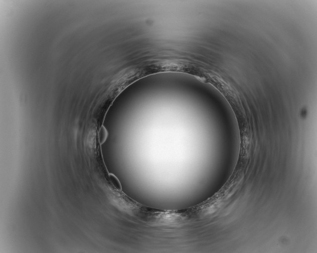 X0000099520379200805221449