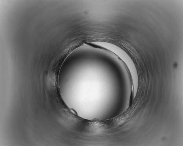 X0000099520380200805221449