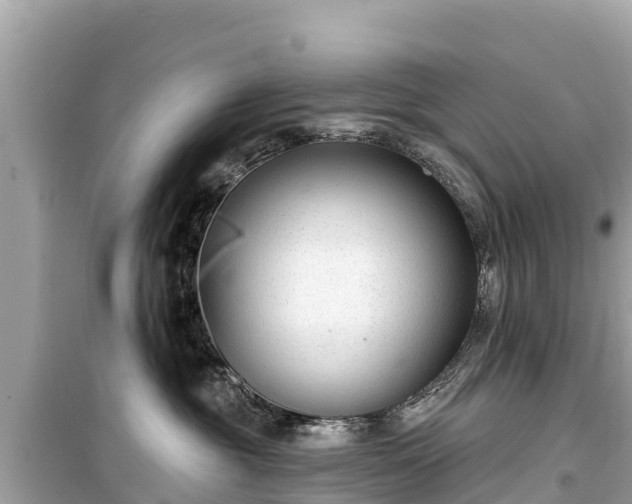 X0000099520381200805221449