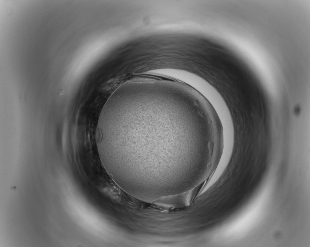 X0000099520382200805221449