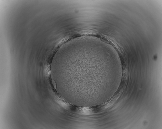 X0000099520383200805221449