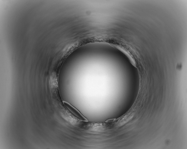 X0000099520384200805221449