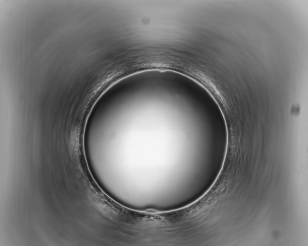 X0000099520386200805221448