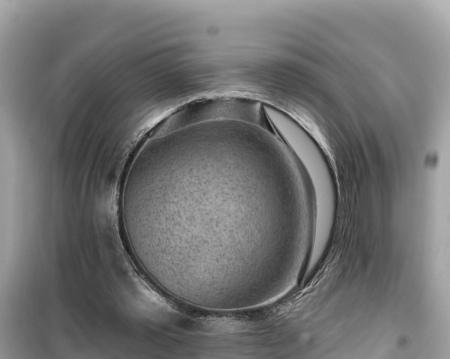 X0000099520389200805221448