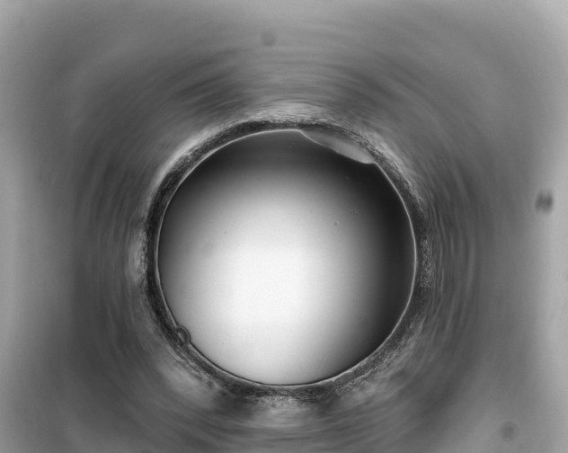 X0000099520392200805221448