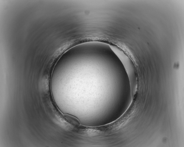 X0000099520393200805221448