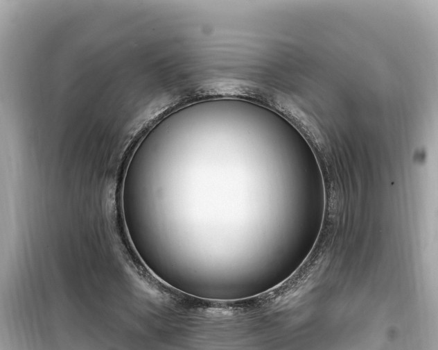 X0000099520394200805221448
