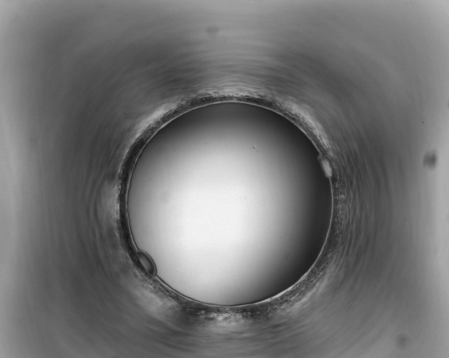 X0000099520395200805221448