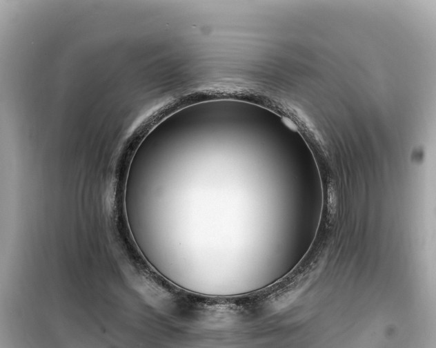 X0000099520396200805221448