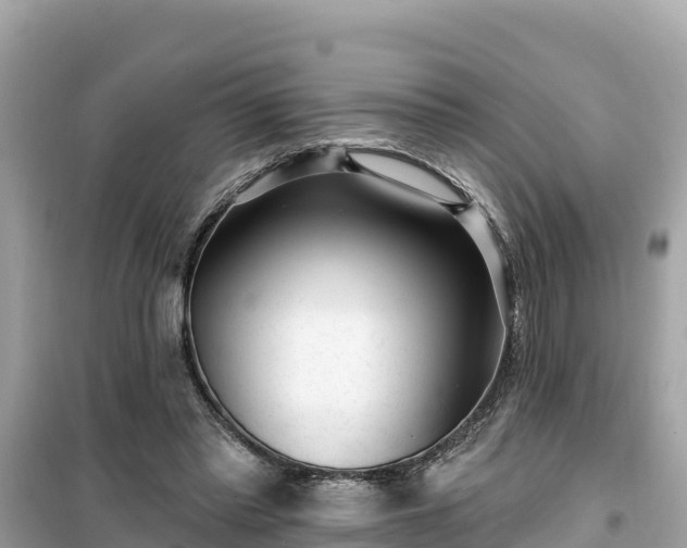 X0000099520397200805221448