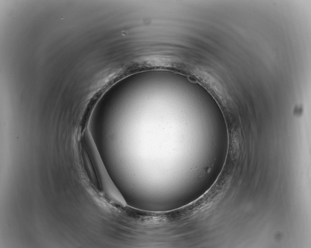 X0000099520398200805221448