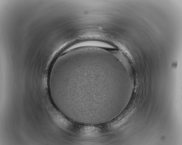 X0000099520399200805221448