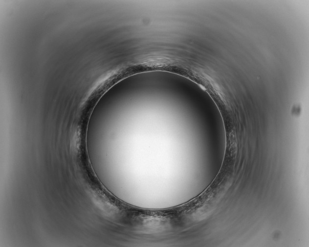 X0000099520400200805221448