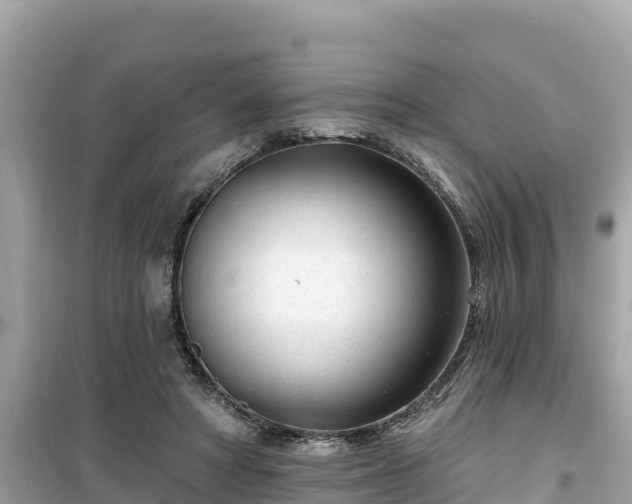X0000099520402200805221448