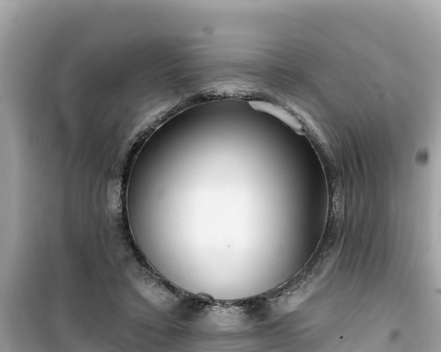 X0000099520403200805221448
