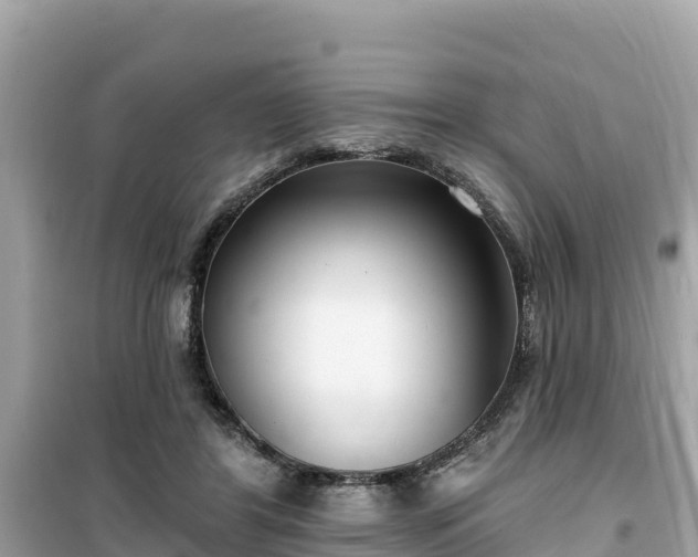 X0000099520404200805221448