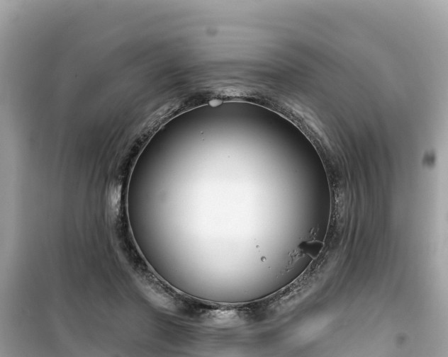 X0000099520406200805221448
