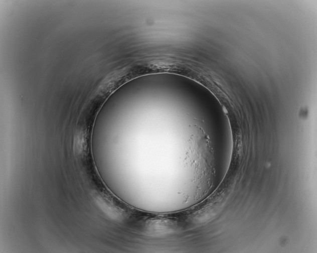 X0000099520408200805221448