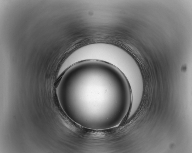 X0000099520409200805221448