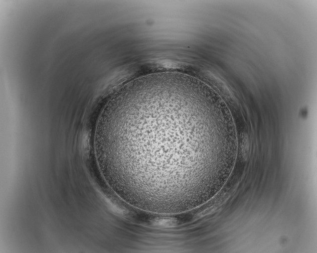 X0000099520410200805221448