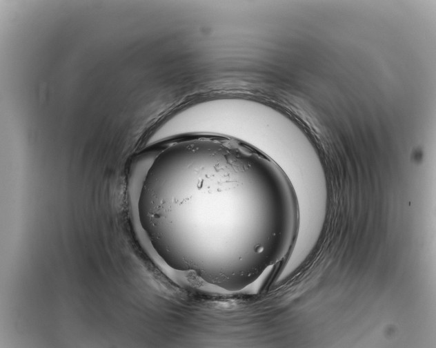X0000099520411200805221448