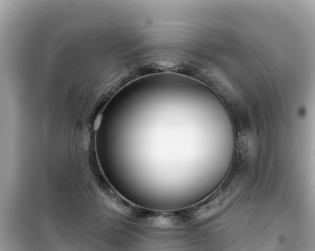 X0000099520412200805221448