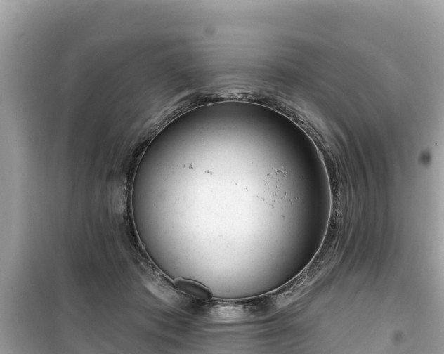 X0000099520413200805221448