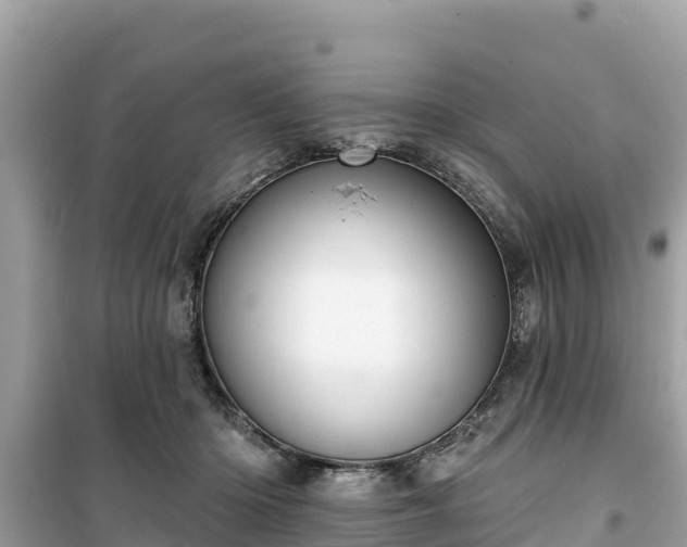 X0000099520414200805221448
