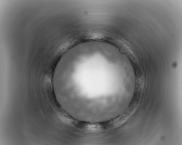 X0000099520415200805221448