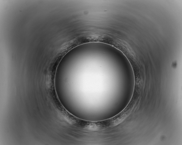 X0000099520416200805221448
