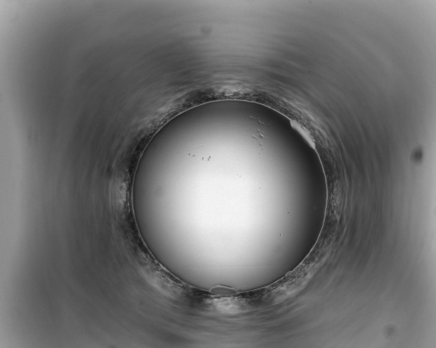 X0000099520417200805221448